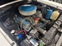 1970 Ford Mustang for sale in Addison, Illinois (ID-135737)