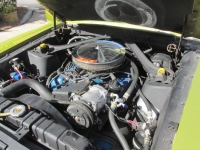 1970 Ford Mustang for sale in Michigan (ID-138505)