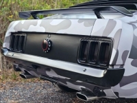 1970 Ford Mustang for sale in Michigan (ID-138560)