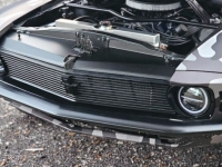 1970 Ford Mustang for sale in Michigan (ID-138560)