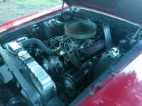 1970 Ford Mustang for sale in Michigan (ID-140248)