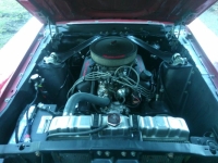 1970 Ford Mustang for sale in Michigan (ID-140248)