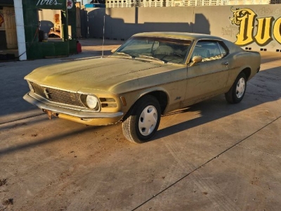 1970 Ford Mustang for sale
