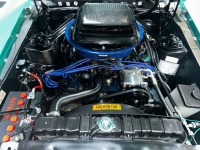 1970 Ford Mustang for sale in Addison, Illinois (ID-140554)