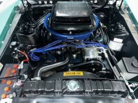 1970 Ford Mustang for sale in Addison, Illinois (ID-140554)