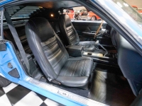 1970 Ford Mustang for sale in Addison, Illinois (ID-141503)
