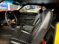 1970 Ford Mustang for sale in Michigan (ID-141794)