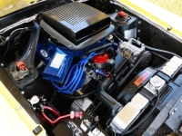 1970 Ford Mustang for sale in Riverhead, New York (ID-141918)