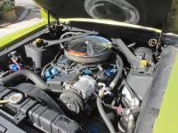 1970 Ford Mustang for sale in Michigan (ID-142205)