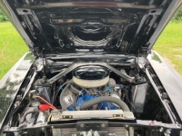 1970 Ford Mustang for sale in Michigan (ID-142652)