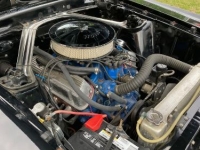 1970 Ford Mustang for sale in Michigan (ID-142652)
