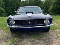 1970 Ford Mustang for sale in Michigan (ID-142652)
