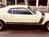 1970 Ford Mustang for sale in Michigan (ID-146309)