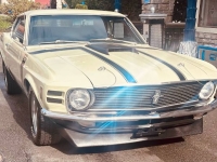 1970 Ford Mustang for sale in Michigan (ID-146309)