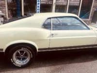 1970 Ford Mustang for sale in Michigan (ID-146309)