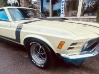 1970 Ford Mustang for sale in Michigan (ID-146309)