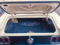 1970 Ford Mustang for sale in Michigan (ID-146309)