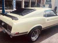1970 Ford Mustang for sale in Michigan (ID-146309)