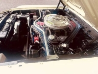 1970 Ford Mustang for sale in Michigan (ID-146309)