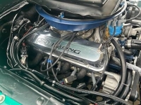 1970 Ford Mustang for sale in Michigan (ID-153801)