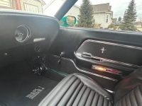 1970 Ford Mustang for sale in Michigan (ID-153801)