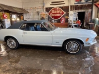 1970 Ford Mustang for sale in Michigan (ID-154926)