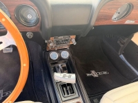 1970 Ford Mustang for sale in Michigan (ID-155838)