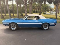 1970 Ford Mustang for sale in Michigan (ID-155838)