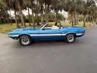 1970 Ford Mustang for sale in Michigan (ID-155838)