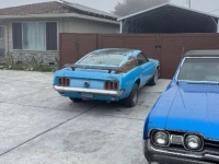 1970 Ford Mustang for sale in Michigan (ID-156226)
