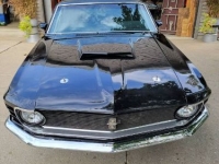 1970 Ford Mustang for sale in Michigan (ID-156242)
