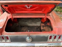 1970 Ford Mustang for sale in Michigan (ID-161392)