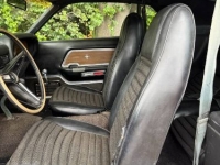 1970 Ford Mustang for sale in Michigan (ID-161392)