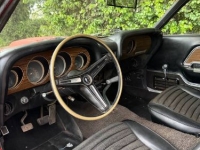 1970 Ford Mustang for sale in Michigan (ID-161392)