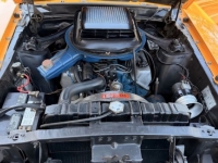 1970 Ford Mustang for sale in Michigan (ID-161403)