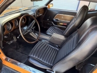 1970 Ford Mustang for sale in Michigan (ID-161403)