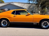 1970 Ford Mustang for sale in Michigan (ID-161403)