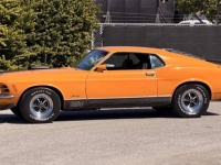1970 Ford Mustang for sale in Michigan (ID-161403)