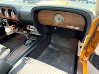 1970 Ford Mustang for sale in Michigan (ID-162662)