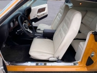 1970 Ford Mustang for sale in Michigan (ID-162662)