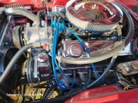 1970 Ford Mustang for sale in Michigan (ID-163900)