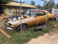 1970 Ford Mustang for sale in Michigan (ID-163931)