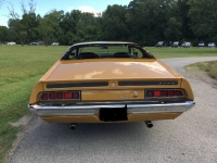 1970 Ford Torino for sale in Michigan (ID-117933)
