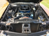 1970 Ford Torino for sale in Michigan (ID-117933)