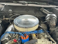 1970 Ford Torino GT for sale in Michigan (ID-143678)