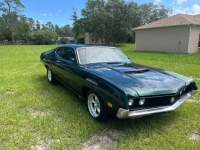 1970 Ford Torino GT for sale in Michigan (ID-143678)