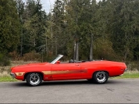 1970 Ford Torino GT for sale in Michigan (ID-146383)