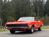 1970 Ford Torino GT for sale in Michigan (ID-146383)