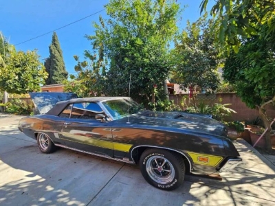 1970 Ford Torino GT for sale