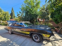 1970 Ford Torino GT for sale in Michigan (ID-155343)